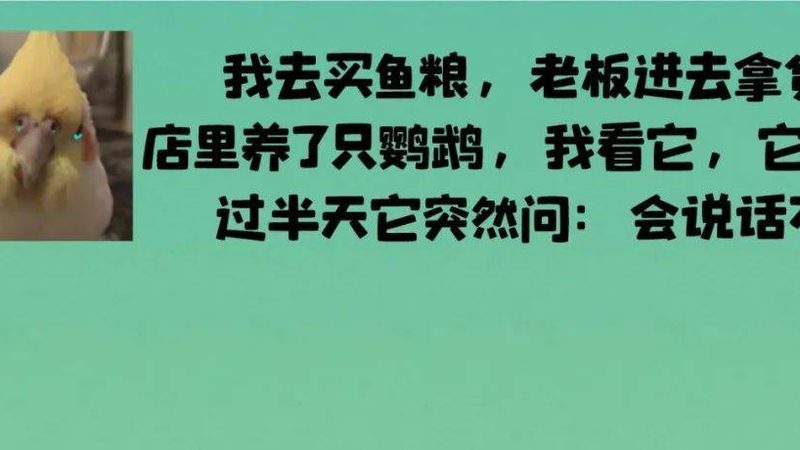 奶茶加盟市场解析：揭秘十大品牌排名背后的真相